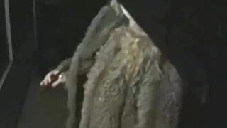 যৌনসঙ্গম বন্য. বাংলাসেক্স বিডিও