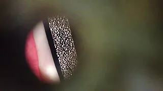 মেয়ে সমকামী, বাংলা সেক্র বিডিও শ্যামাঙ্গিণী